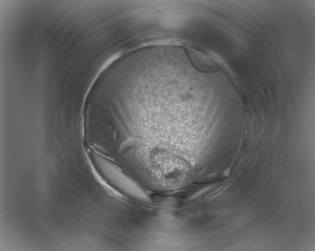 X0000054401095200508121652