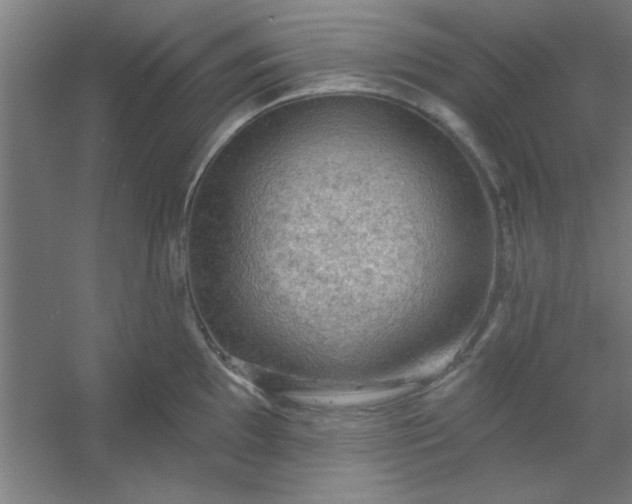 X0000054401097200508121652