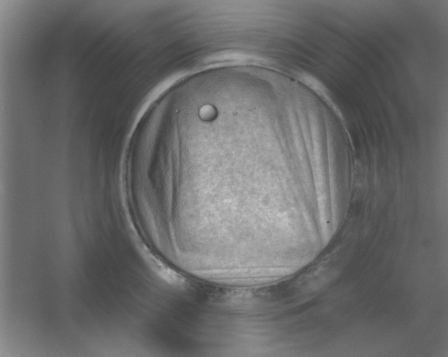 X0000054401098200508121652