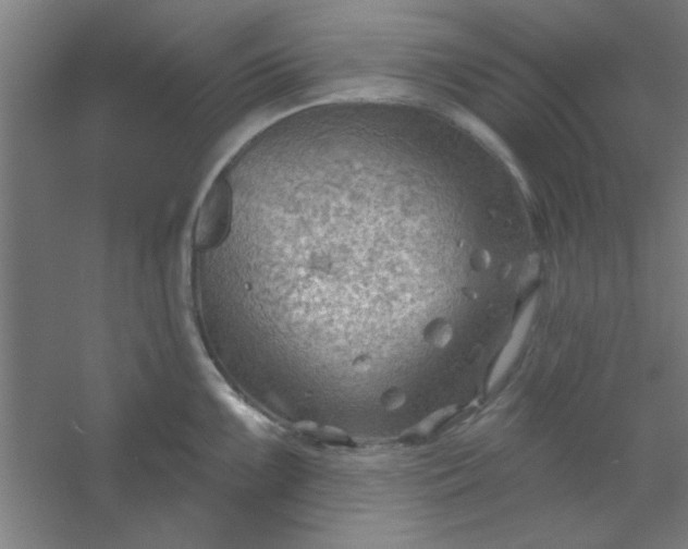 X0000054401099200508121652