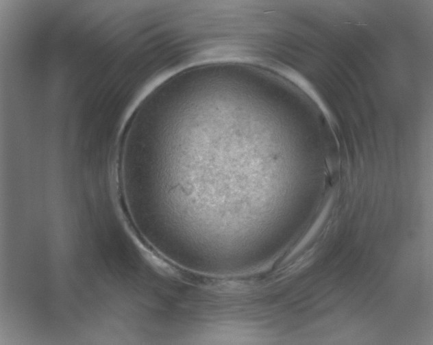 X0000054401101200508121652