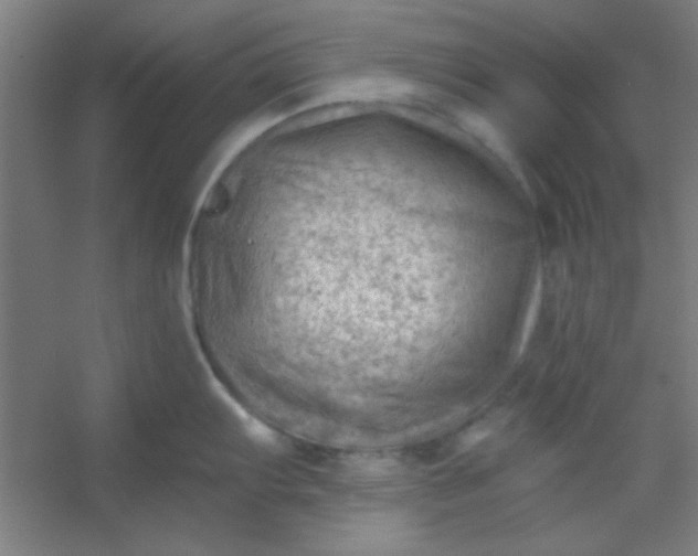 X0000054401103200508121652