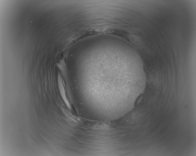 X0000054401106200508121651