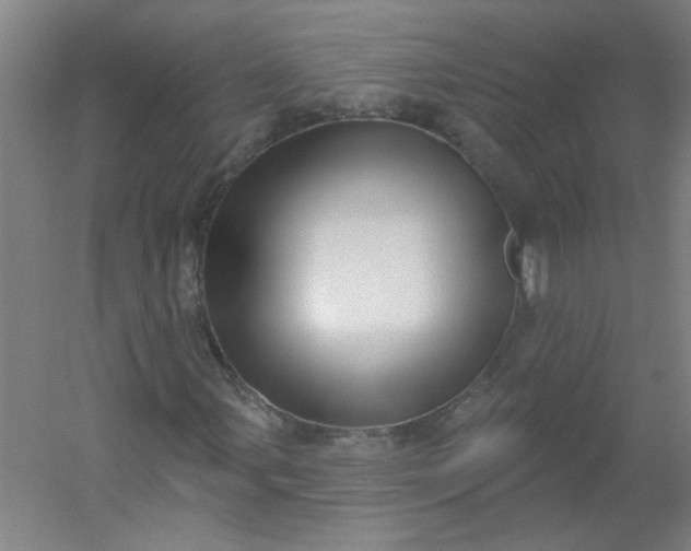 X0000054401107200508121651