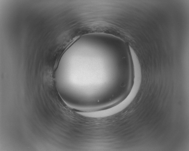 X0000054401108200508121651