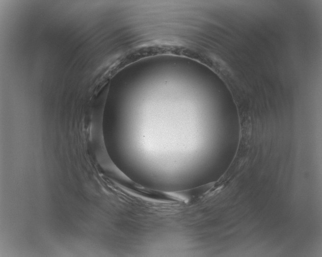 X0000054401110200508121651