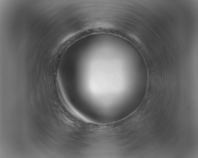 X0000054401112200508121652