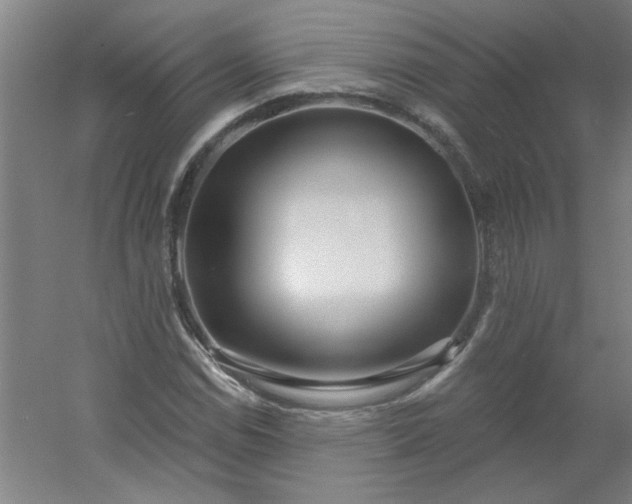 X0000054401114200508121652