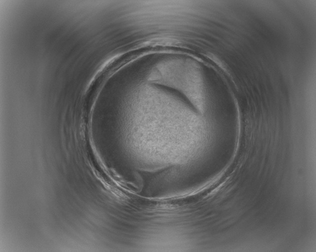 X0000054401115200508121652