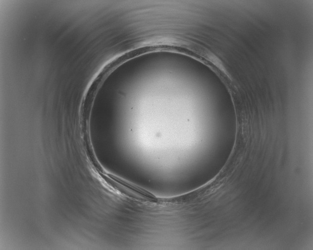 X0000054401116200508121652