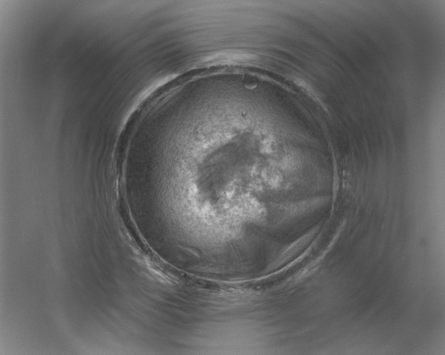 X0000054401117200508121652