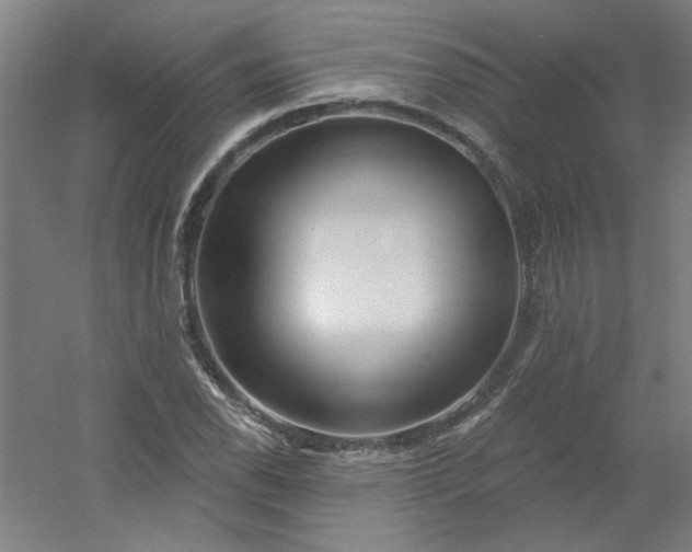 X0000054401118200508121652