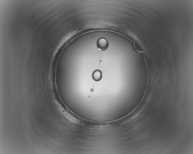 X0000054401122200508121652