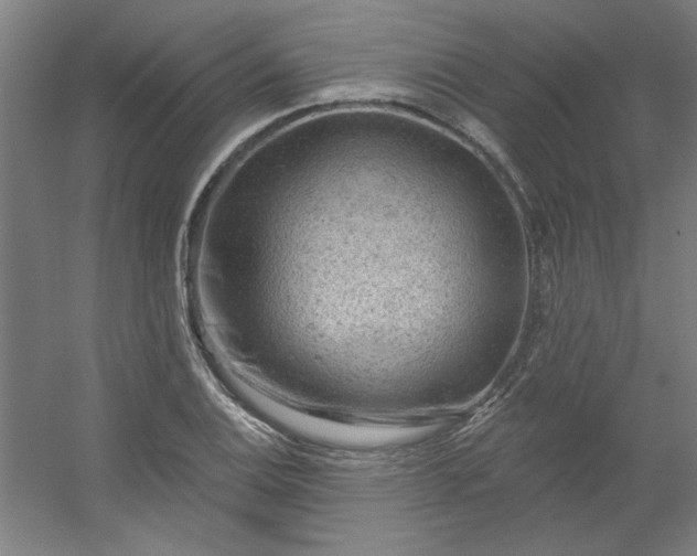 X0000054401124200508121652