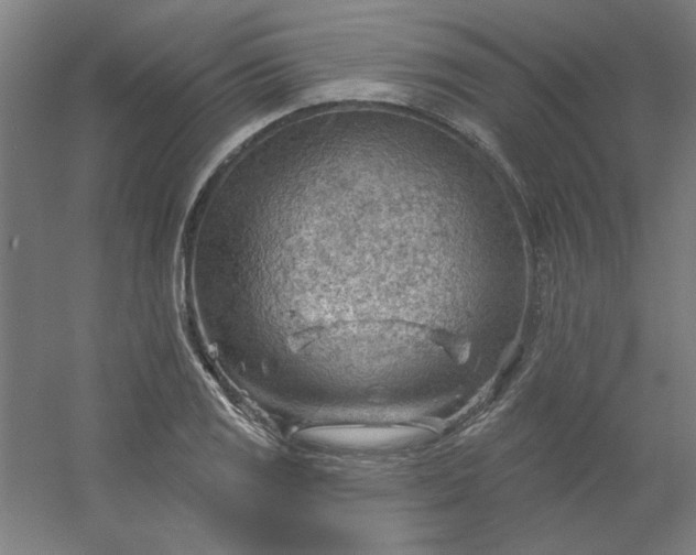 X0000054401125200508121652