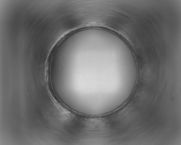 X0000054401126200508121652