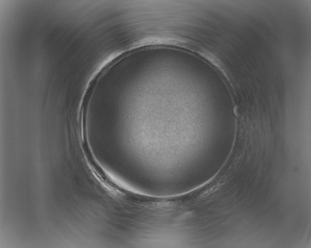 X0000054401127200508121652