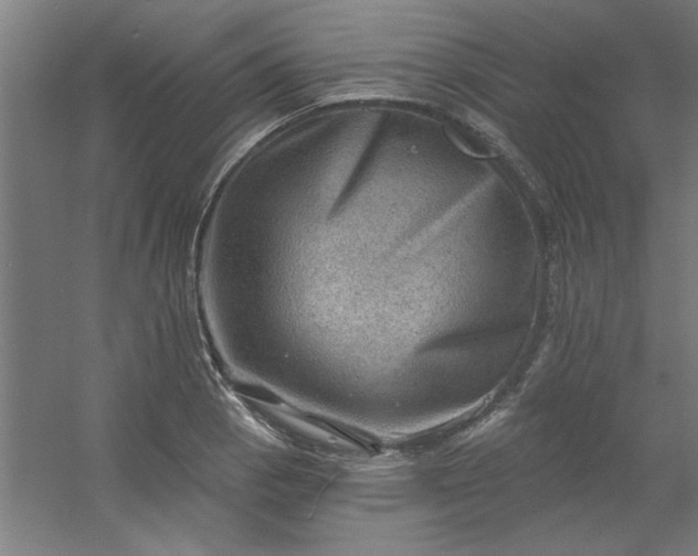 X0000054401129200508121652