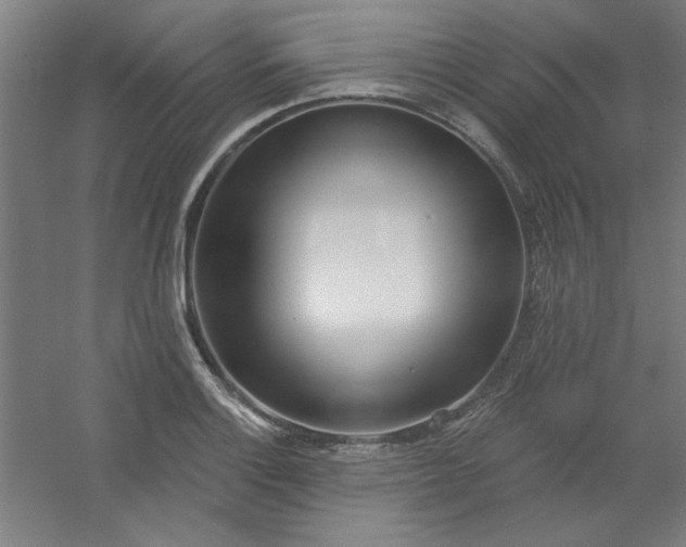 X0000054401132200508121652