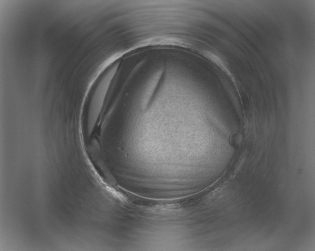 X0000054401133200508121652