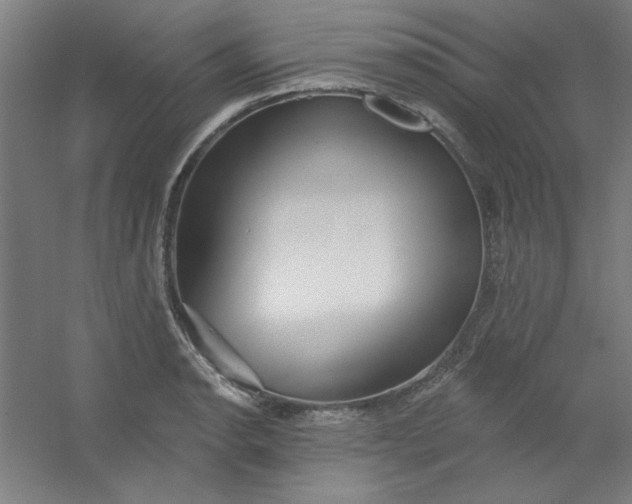 X0000054401134200508121652