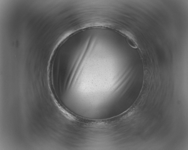 X0000054401135200508121652