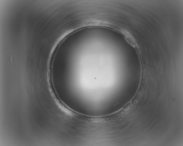 X0000054401136200508121652