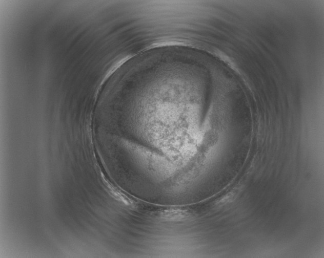 X0000054401137200508121652