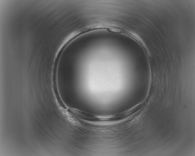 X0000054401138200508121652