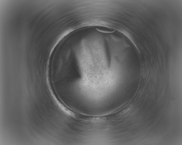 X0000054401139200508121652