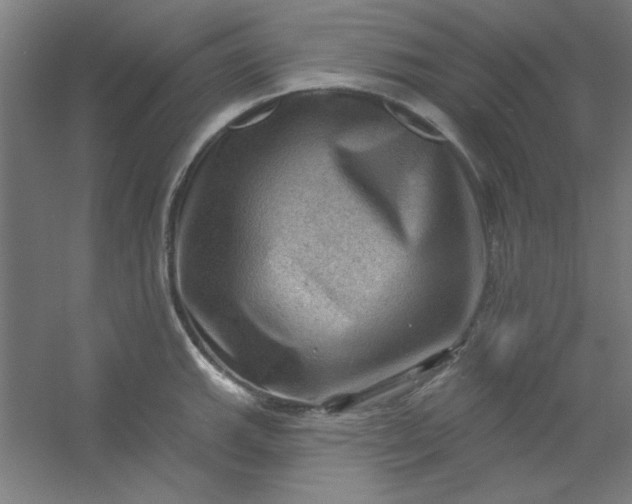 X0000054401143200508121652