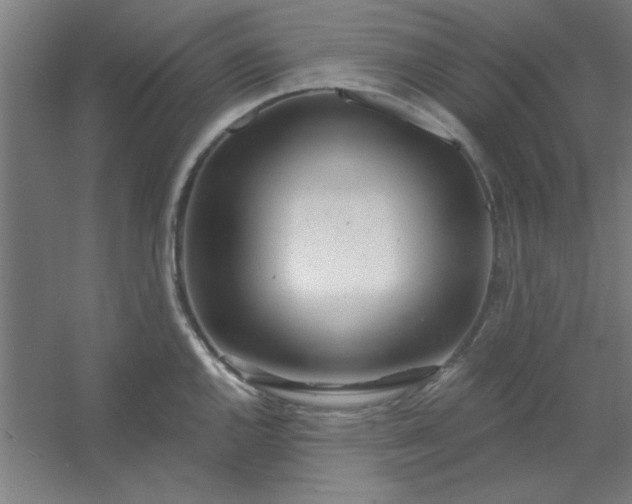 X0000054401144200508121652