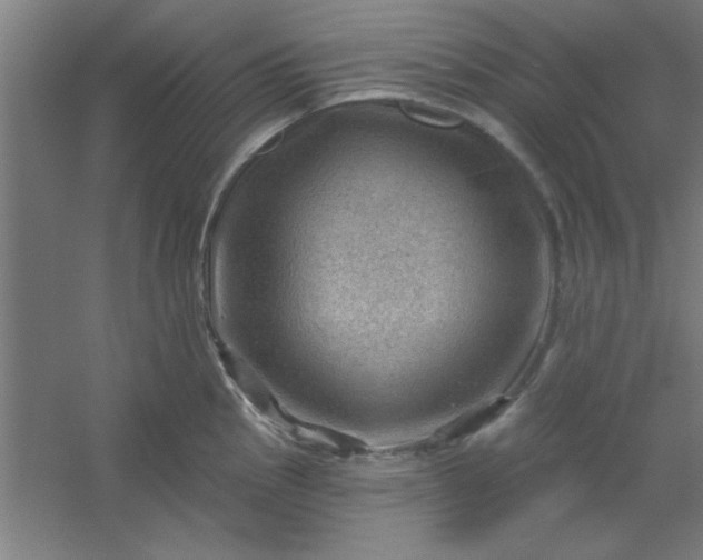 X0000054401145200508121652