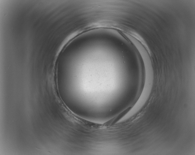 X0000054401146200508121652