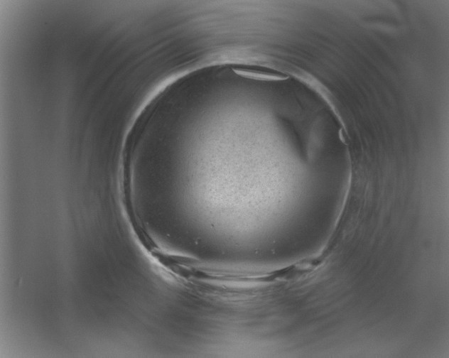 X0000054401147200508121652