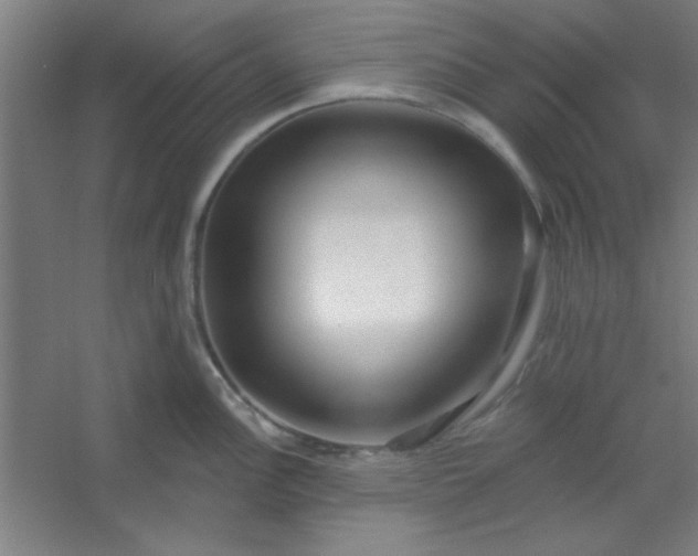 X0000054401148200508121652