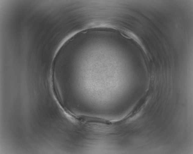 X0000054401149200508121652