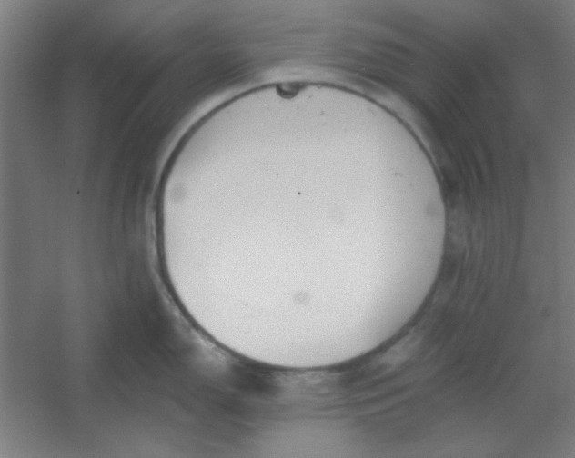 X0000054401150200508121652