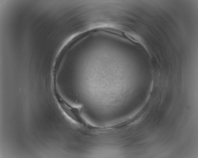 X0000054401151200508121652