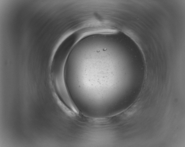 X0000054401152200508121652