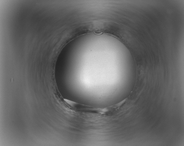 X0000054401153200508121651