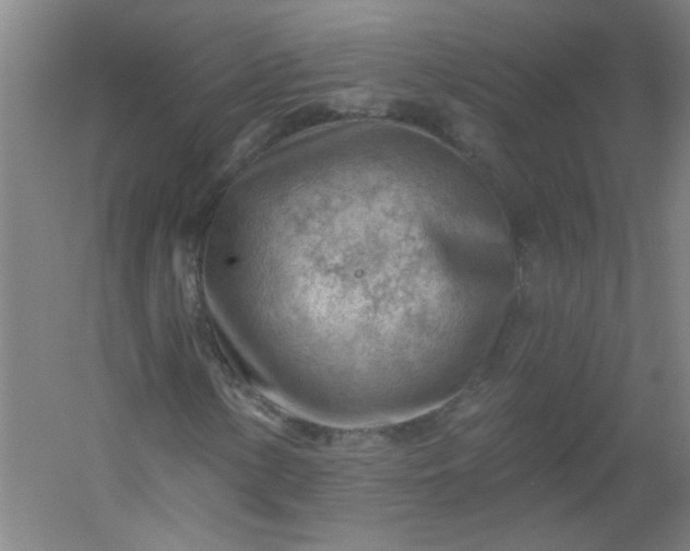 X0000054401154200508121651