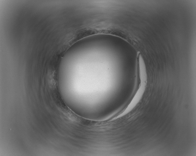 X0000054401156200508121651