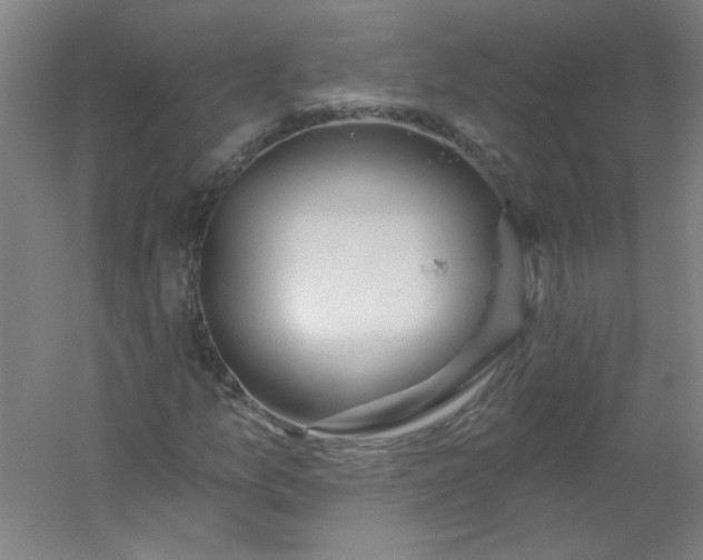 X0000054401157200508121651