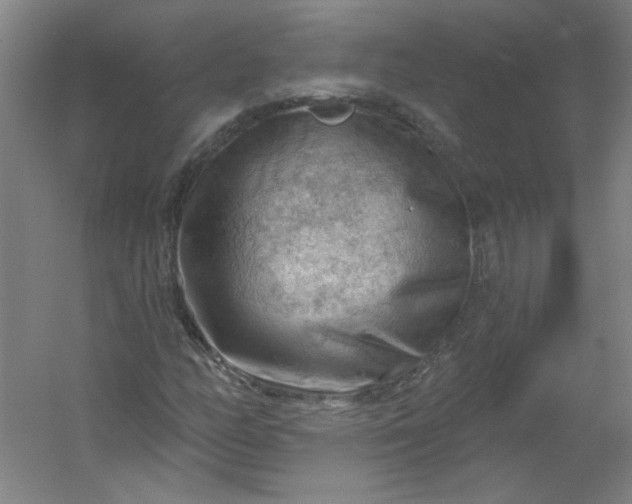 X0000054401158200508121651