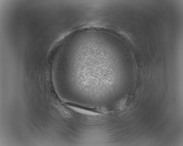 X0000054401159200508121651