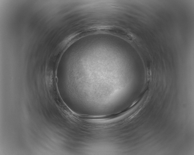 X0000054401161200508121651