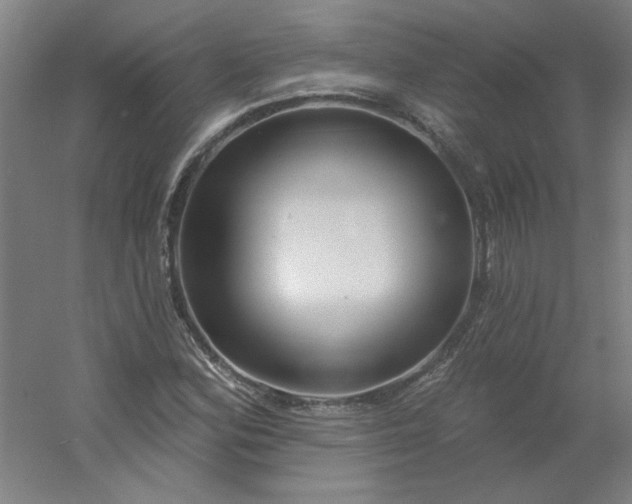 X0000054401164200508121651