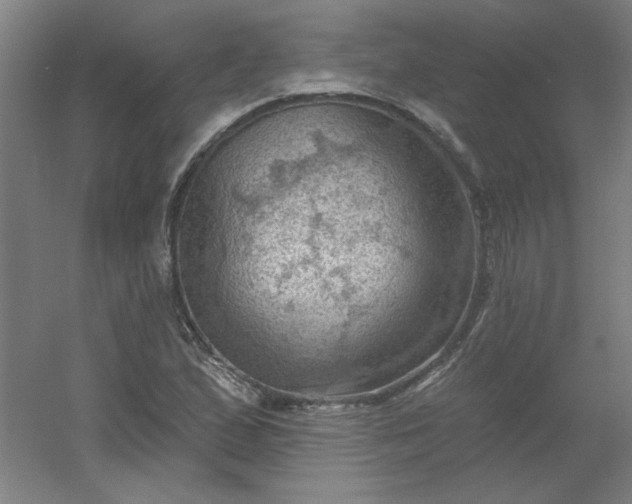 X0000054401167200508121651