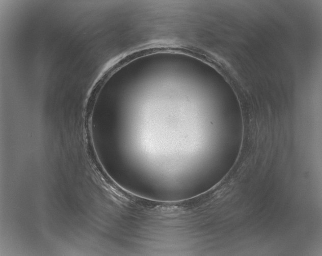 X0000054401168200508121651